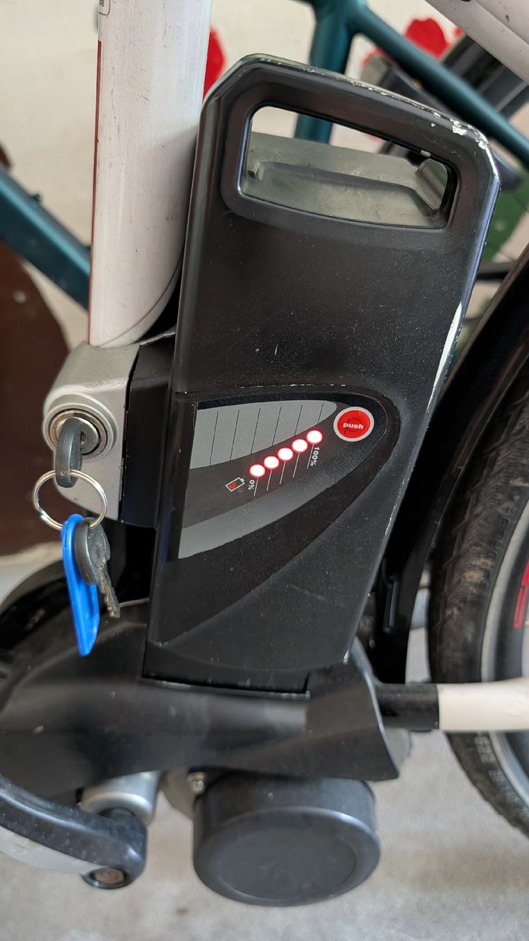 Biciclette: E-Bike Moover 45 km/h – Usato da Kastanienbaum venduto da kr.arch 1