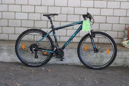 Velo 3