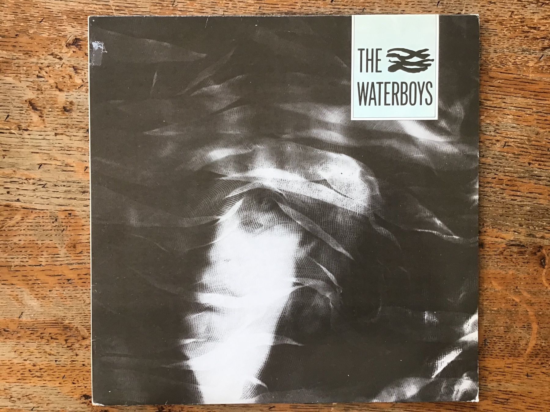 Dischi in vinile: LP The Waterboys – Usato da Fully venduto da Ruby97