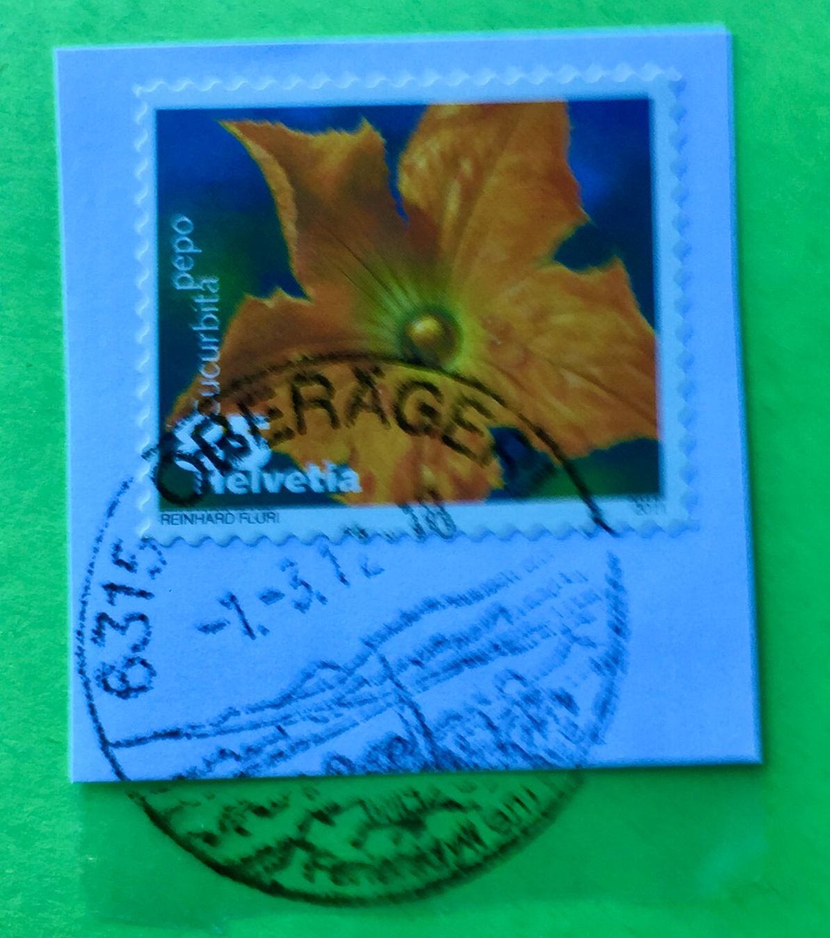 Tutti i francobolli: Nr.1376 Dauermarken Gemüseblüten 2011 mit Stempelt Zucchini – Usato da Aarau venduto da Billa007