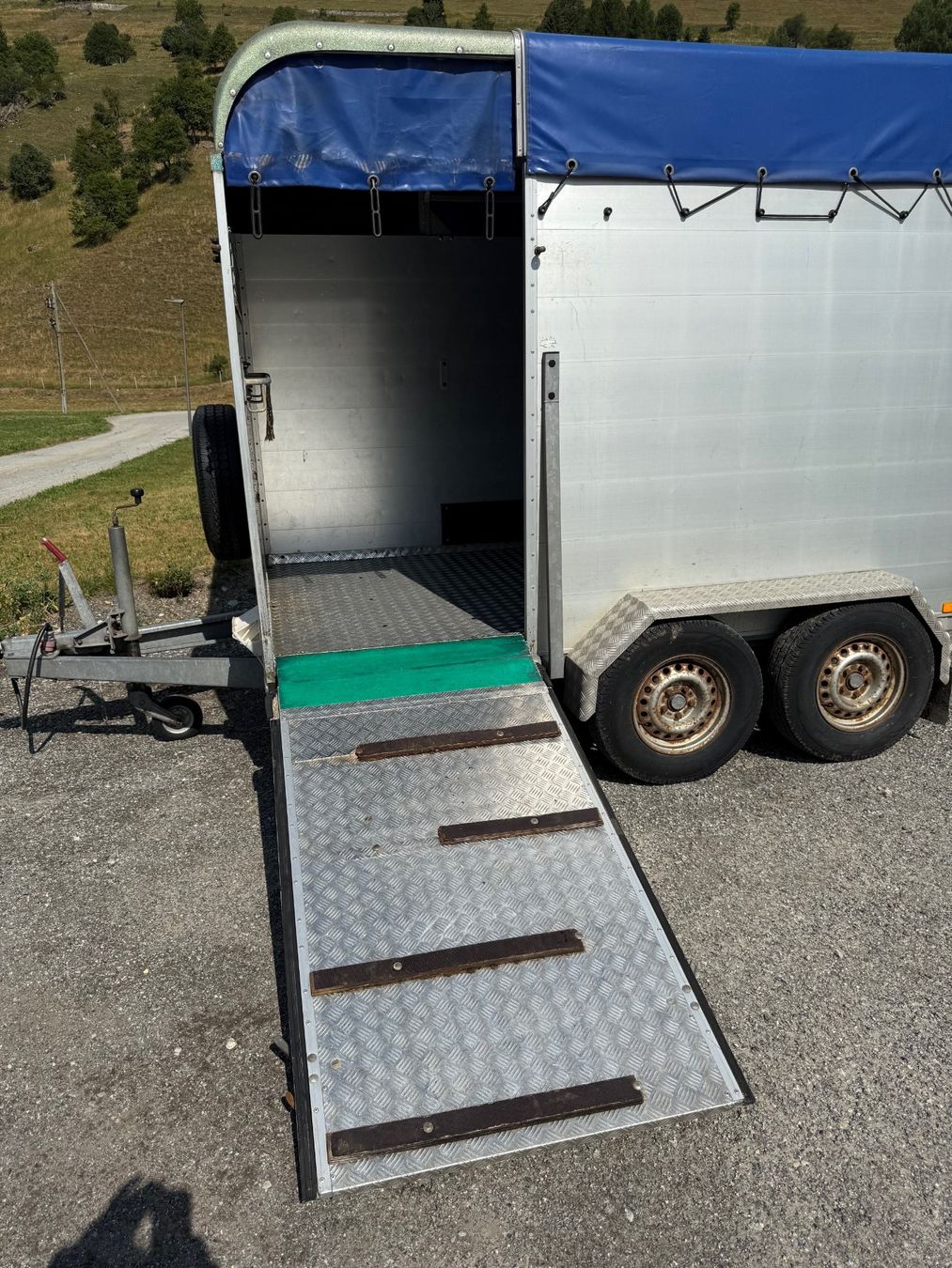Daltec Rimorchi: Viehanhänger Daltec Cargo 25 – Usato da Münster venduto da werage 5
