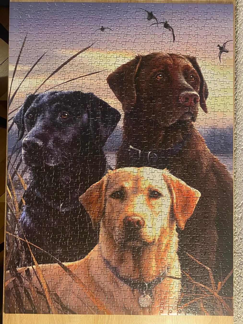 Puzzles: Sameline - Dog– Puzzle 1000 – Gebraucht aus La Chaux-de-Fonds von pir_9ssy 2