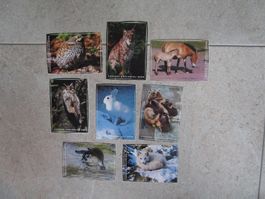 Tierpark Dählhölzli Aufkleber
