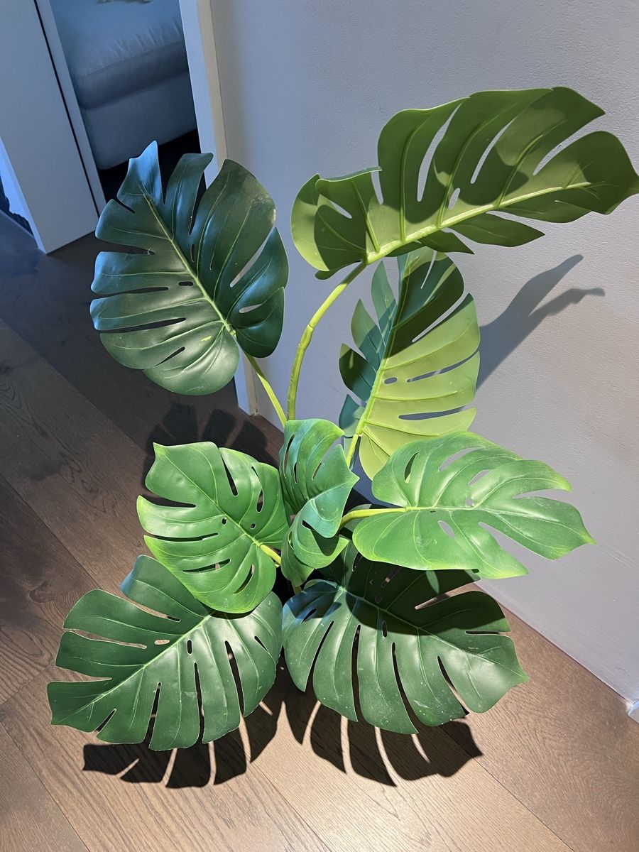 Piante & sementi: Künstliche Monstera Pflanze – Usato da Horgen venduto da laurakm