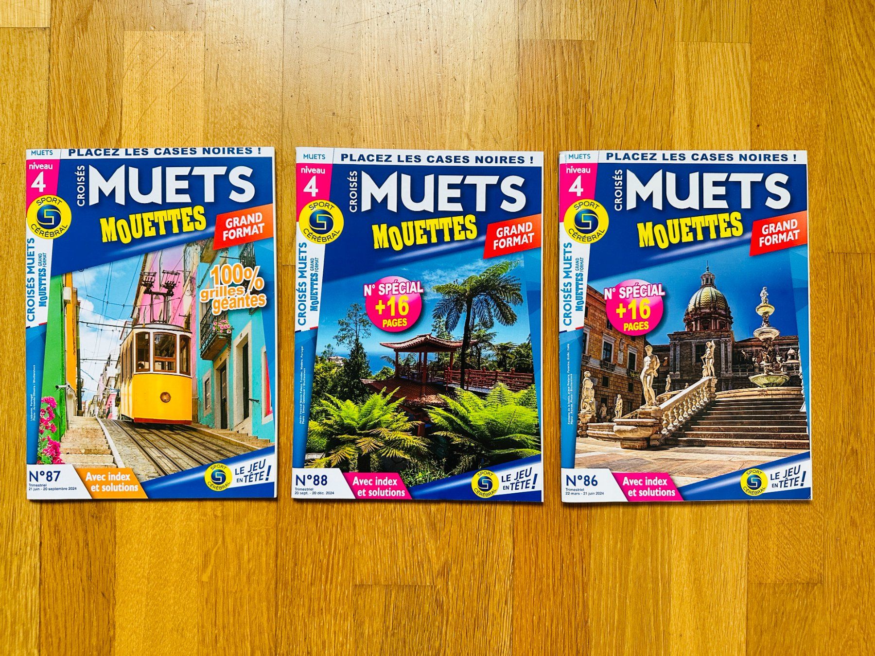 Bücher: Mots Croisés Muets Mouettes grand format – Neu (gemäss Beschreibung) aus Bern von orgalorg 1