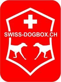 Gabbie, trasporto & Sicurezza: Hundebox, Transportbox – Nuovo e nell'imballaggio originale da Bischofszell venduto da 4pfoetli 4