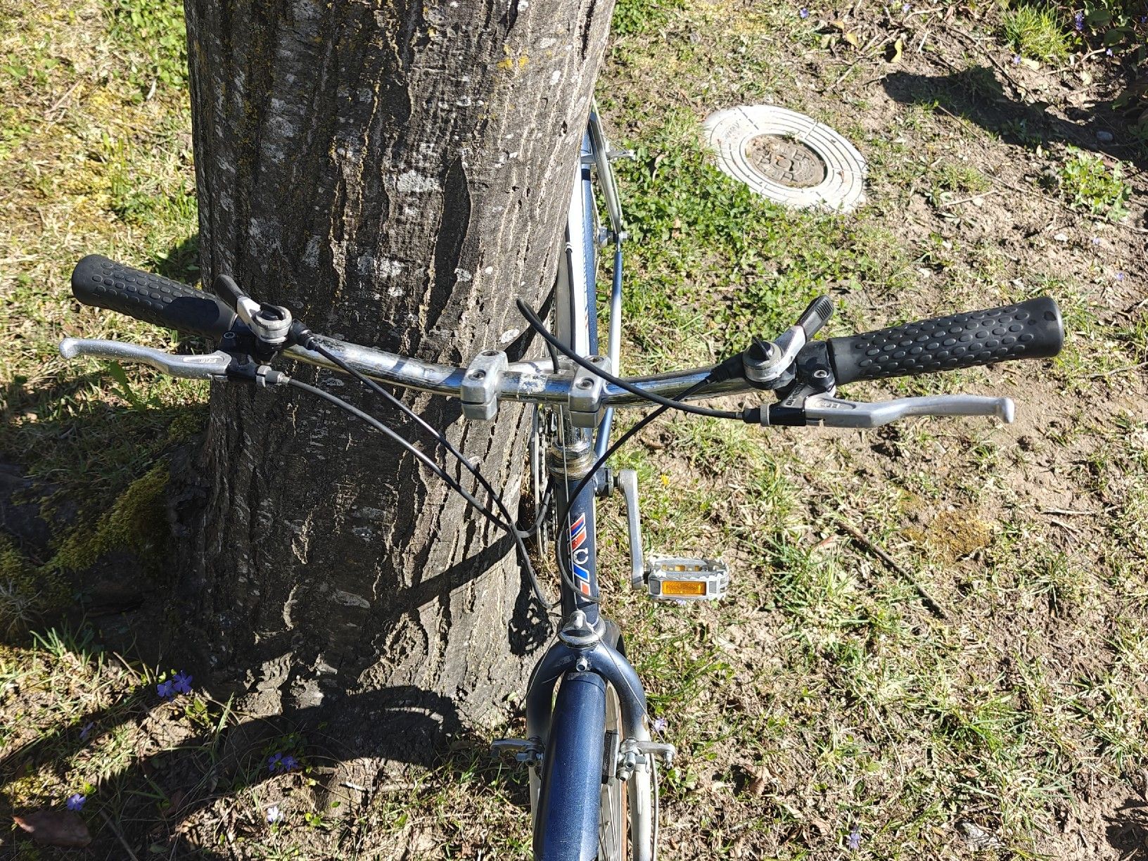 Biciclette: Velo Coronado vintage MTB – Usato da Sempach venduto da sam_z6d2 4