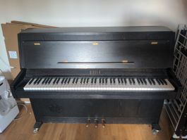 Klavier Rippen gebraucht in Basel