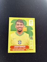 Panini BRA 9
