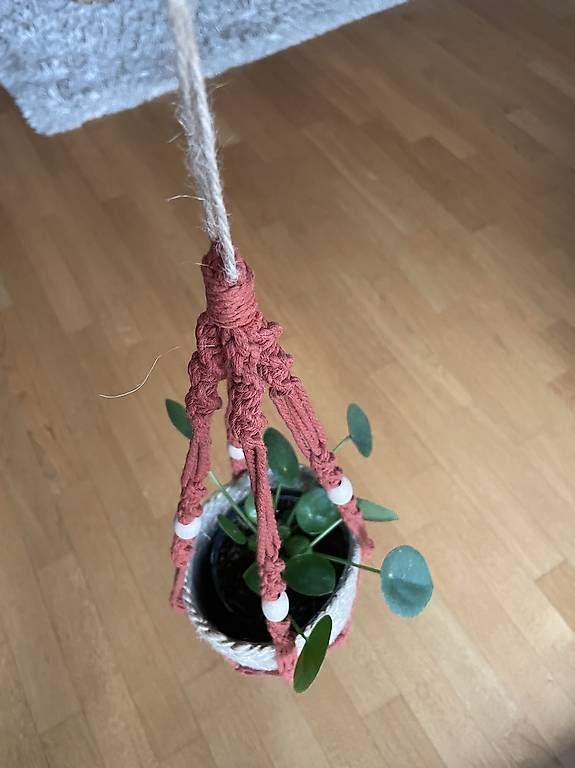 Tutte le decorazioni: Blumenampel Makramee – Usato da Luzern venduto da bse_11x