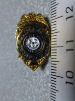 PIN PINS POLIZEI POLICE POLIZIA USA Sheriff Stern Abzeichen