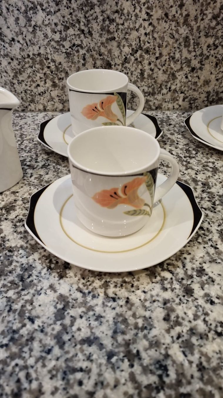 Villeroy & Boch Tazze: Servizio da caffè Villeroy & Boch vintage – Usato da Cadenazzo venduto da Nicopri 2