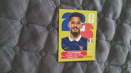 Panini Sticker WM 2026 - FRA 4