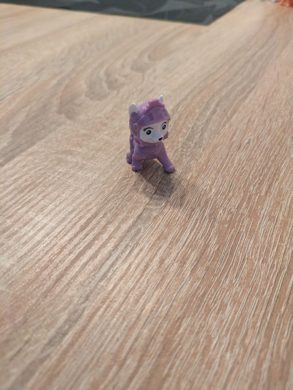 Spielzeuge: Original Everest PAW Patrol Mini Figure – Gebraucht aus Losone von AlpineLayer