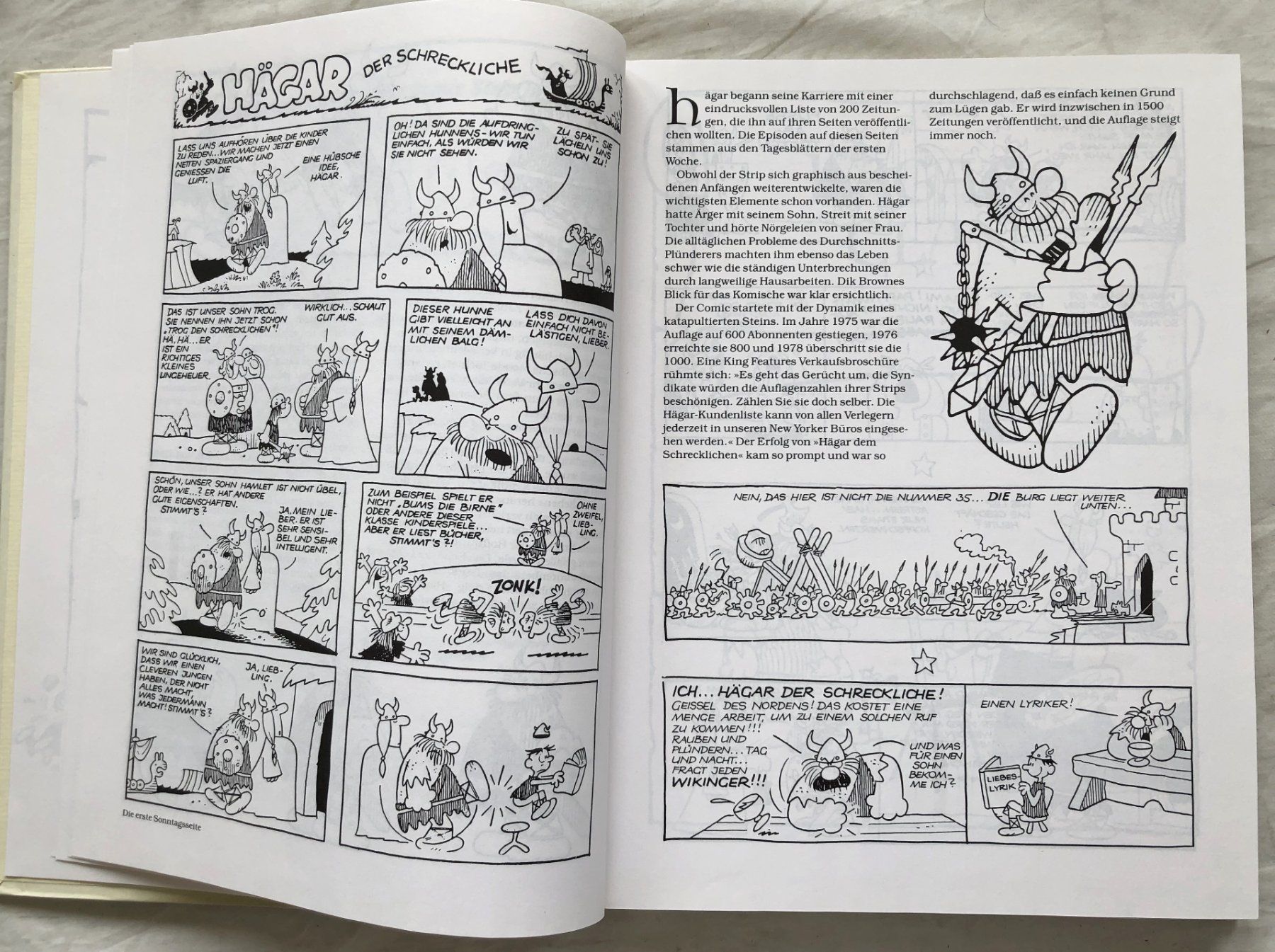 Comics: Neuestes von Hägar dem Schrecklichen – Gebraucht aus Schaffhausen von durruti 3