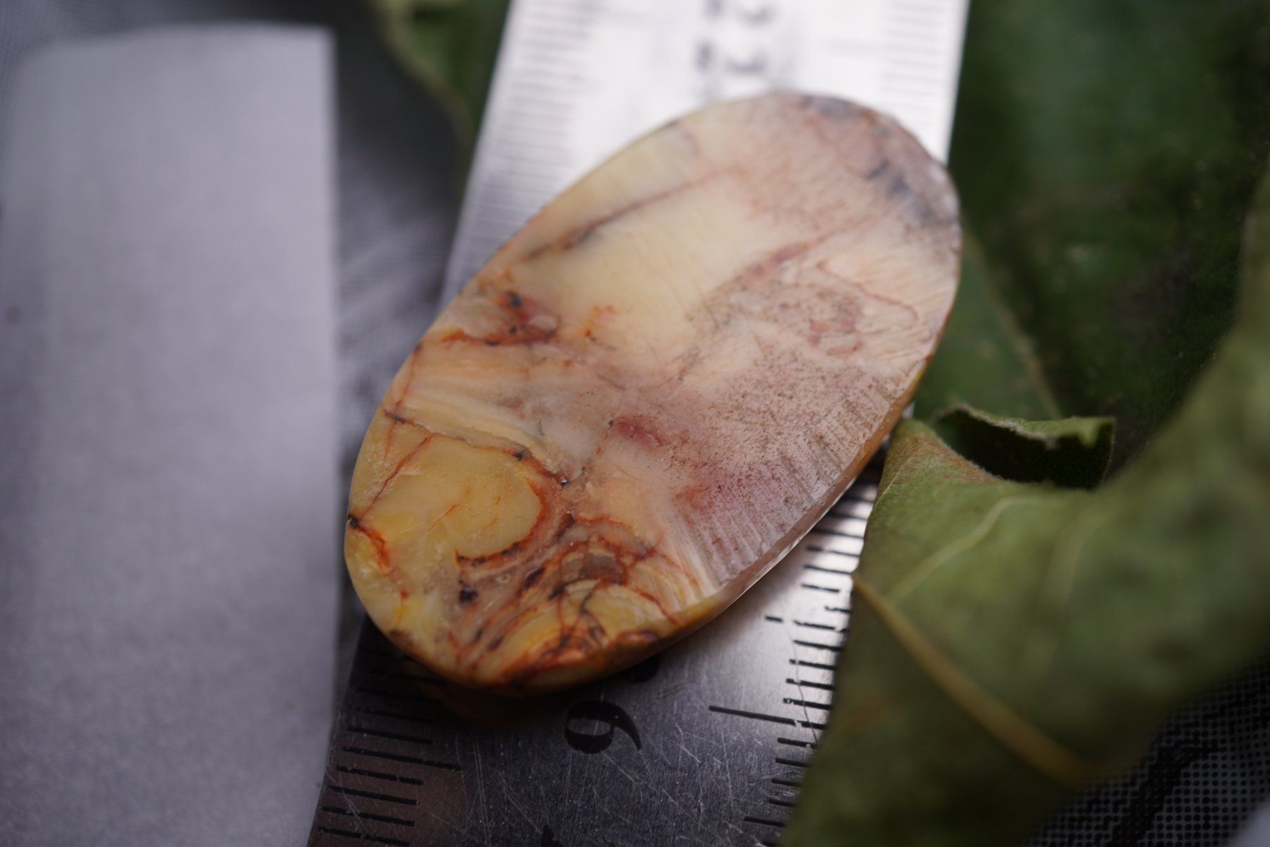 Minerali & Pietre curative: Botswana Achat    Cabochon 42ct  ab 1.- – Nuovo e nell'imballaggio originale da Eschenbach SG venduto da topstone 4