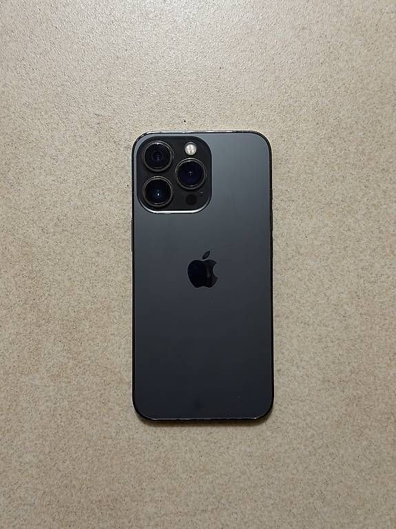 Telefoni cellulari / Smartphones: Apple iPhone 13 Pro 256GB Graphit – Usato da Wil SG venduto da petraba