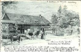 Winterthur ZH Eschenberg Gasthaus + Bauernhof sehr gut erhal