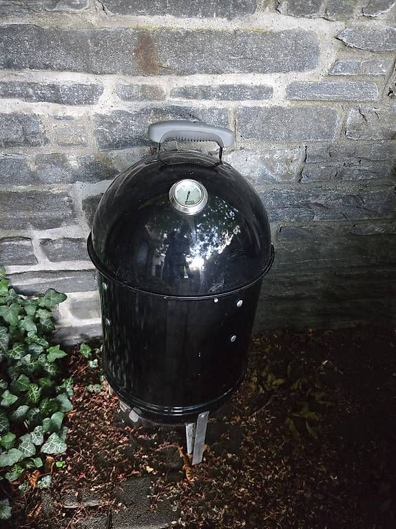 Griglie: Smoker Weber Smoky mountain – Usato da Zürich venduto da tudor87