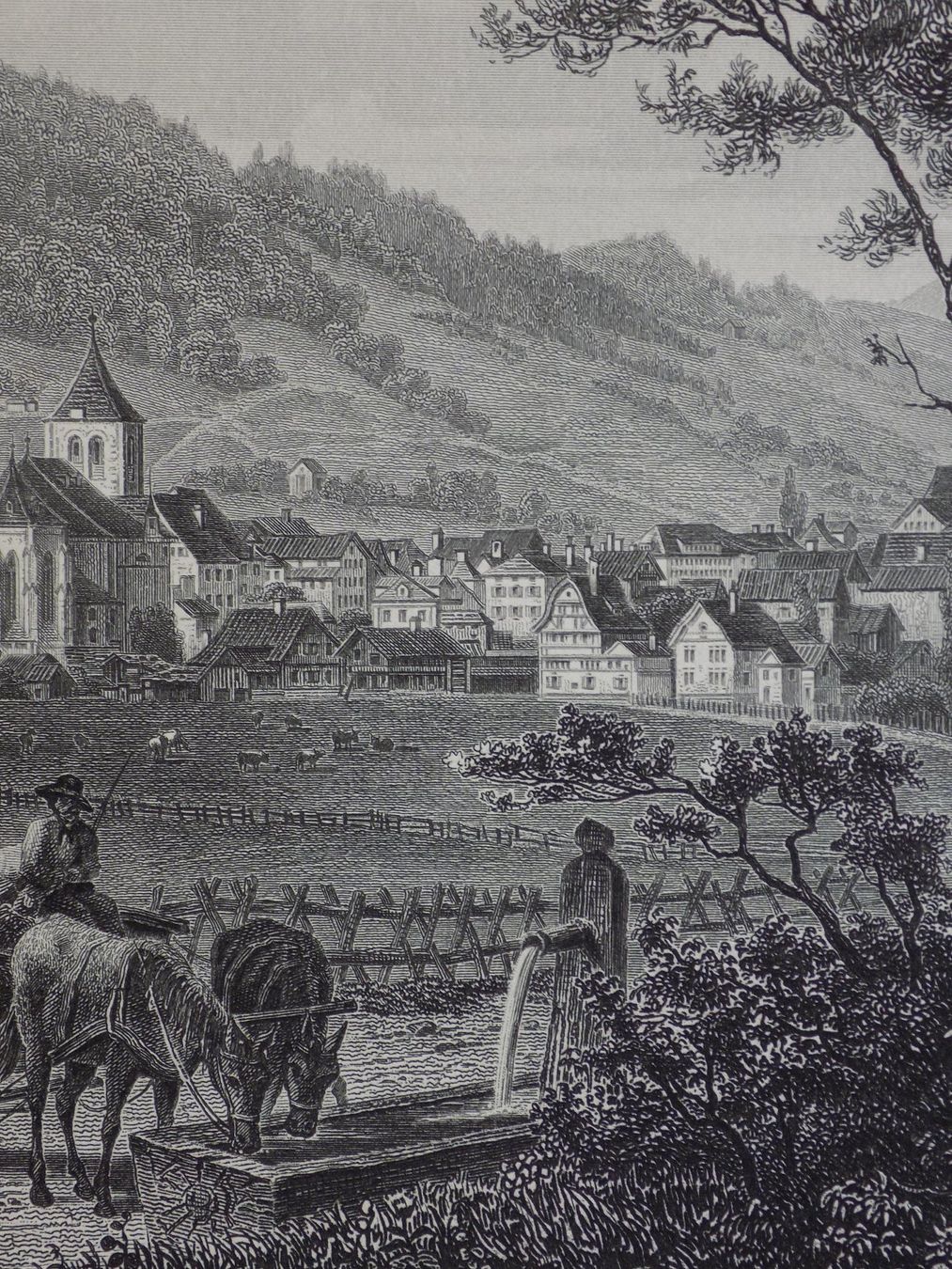 Incisioni: Appenzell Stahlstich – Usato da Risch venduto da Rischli15 5