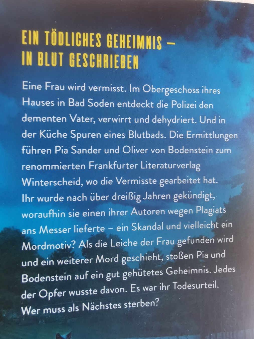 Libri: Krimi/Thriller - 5 Bücher - 5 Franken – Usato da bern venduto da jeannie2006 1
