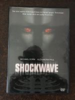 DVD Shockwave