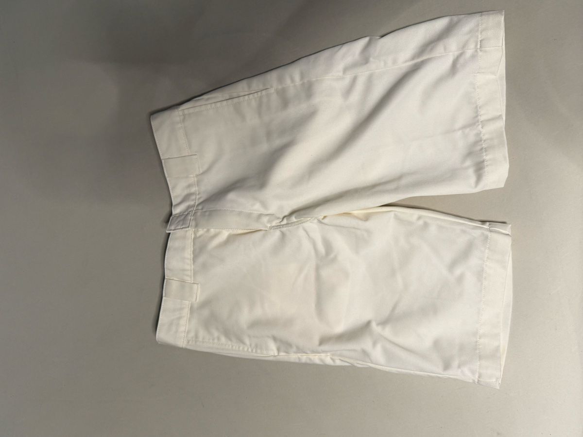 Carhartt Hosen: Carhartt Shorts 33 – Neu (gemäss Beschreibung) aus Zug von SebastianSonderegger