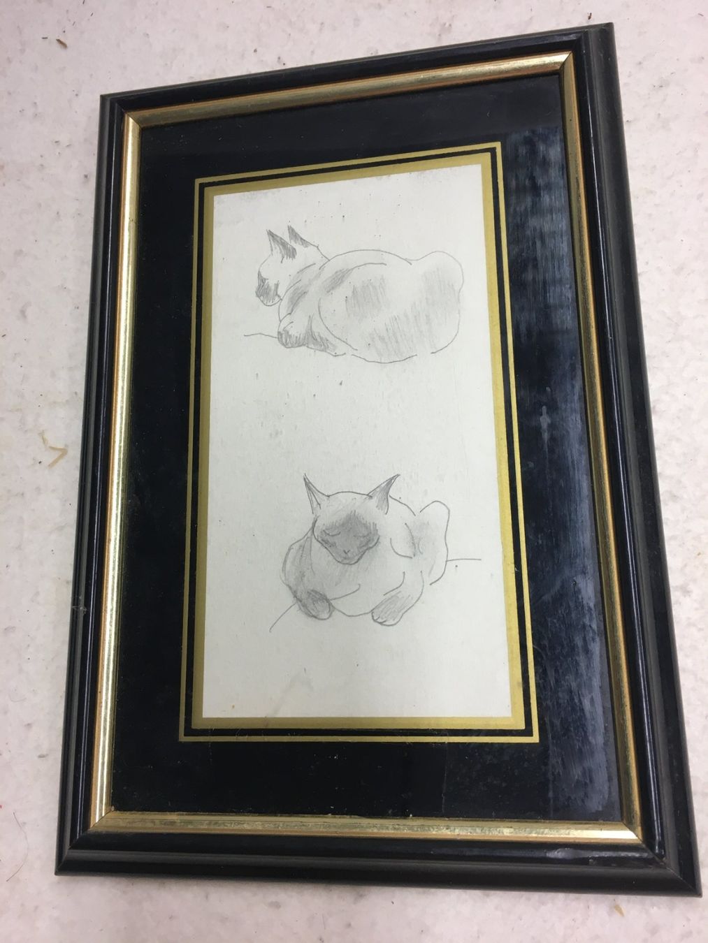 Foto & Immagini: Radierung, Katze sitzend, von Jacques Lehmann – Usato da Rotkreuz venduto da futoo