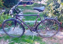 SERVICED & Ready 2 Ride! INTERBIKE SWISS 21 gears 28' wheels