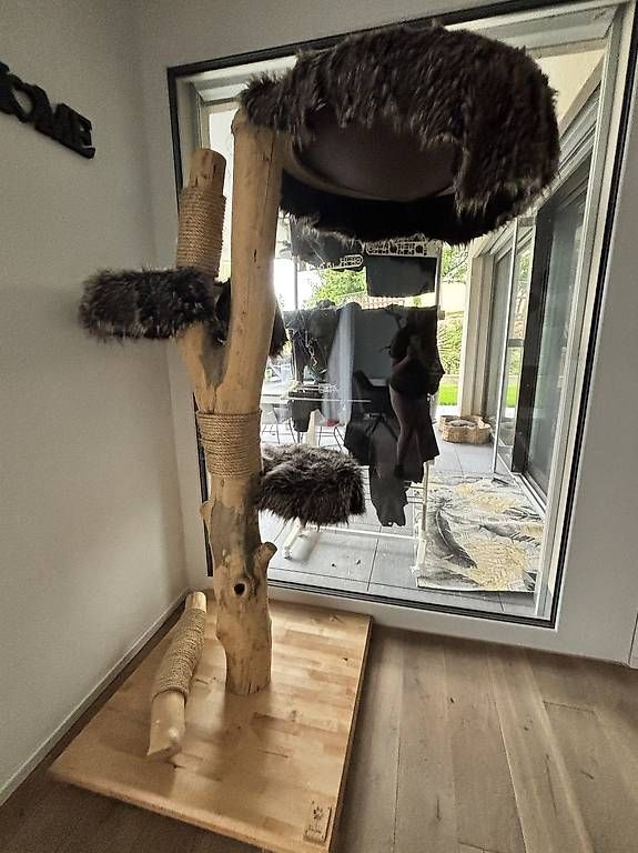 Tiragraffi: Schöner Natur Kratzbaum – Usato da Inwil venduto da Seli_Schnellfuss 1