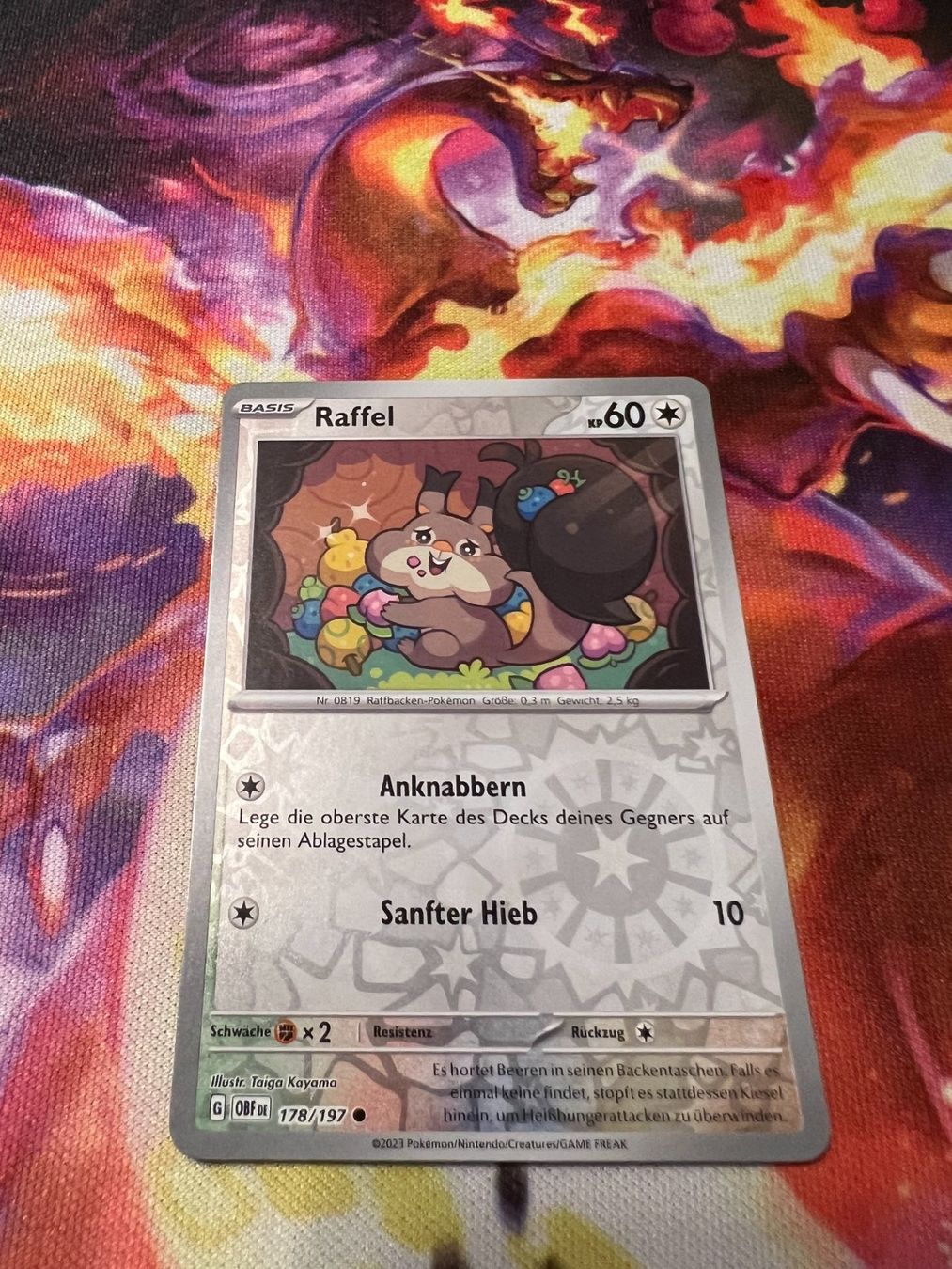 Pokémon Carte collezionabili: Raffel (OBF 178) / Reverse Holo / Obsidianflammen – Nuovo (secondo la descrizione) da Bülach venduto da CherryBlu