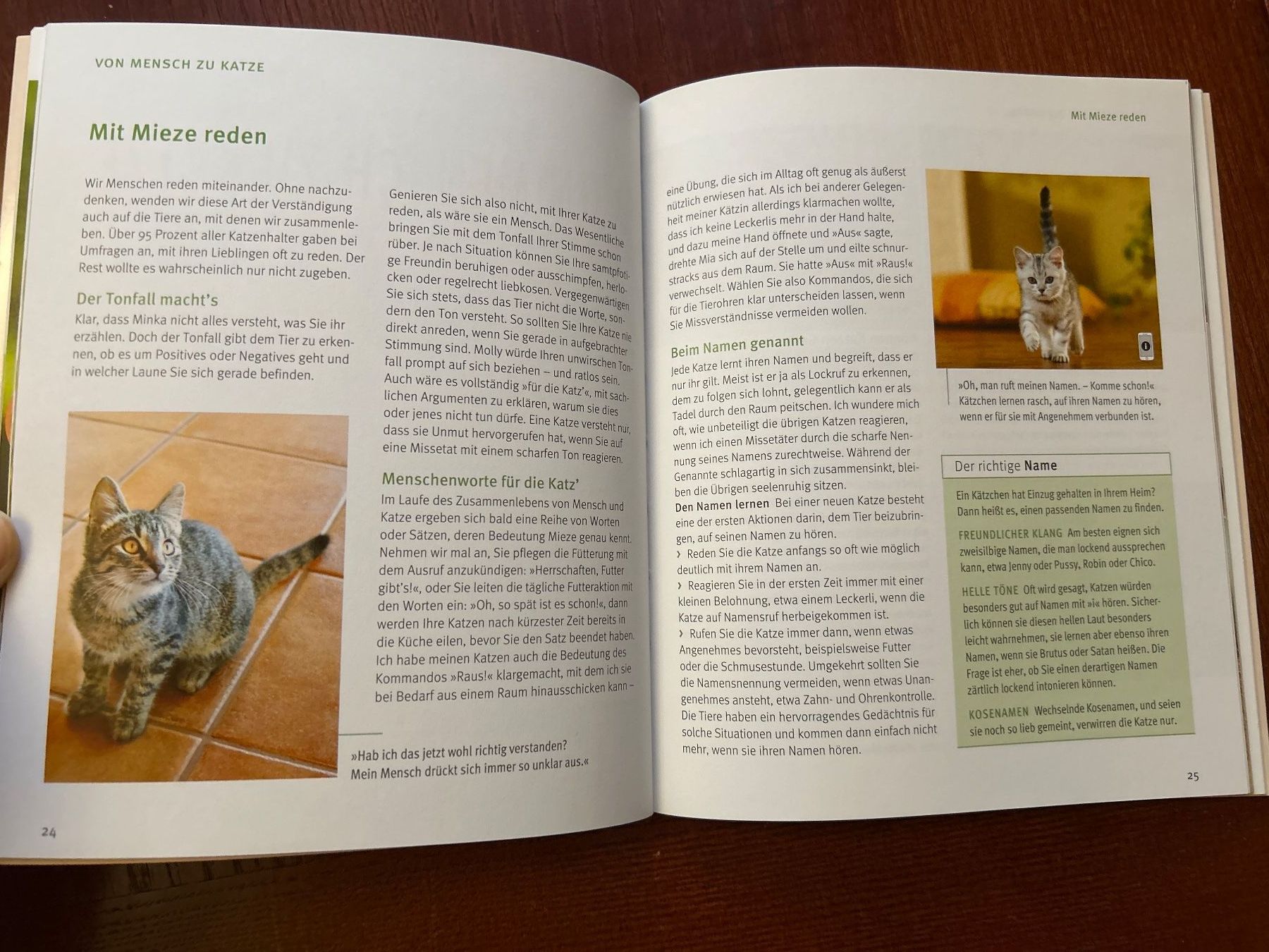 Libri: 2 Katzenbücher - "Unser Kätzchen" und "Katzensprache" – Usato da Benglen venduto da silversun79 3