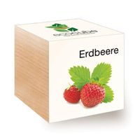 Eco Cube Erdbeere - Mini-Garten für Zuhause 🌱🍓Sämereien