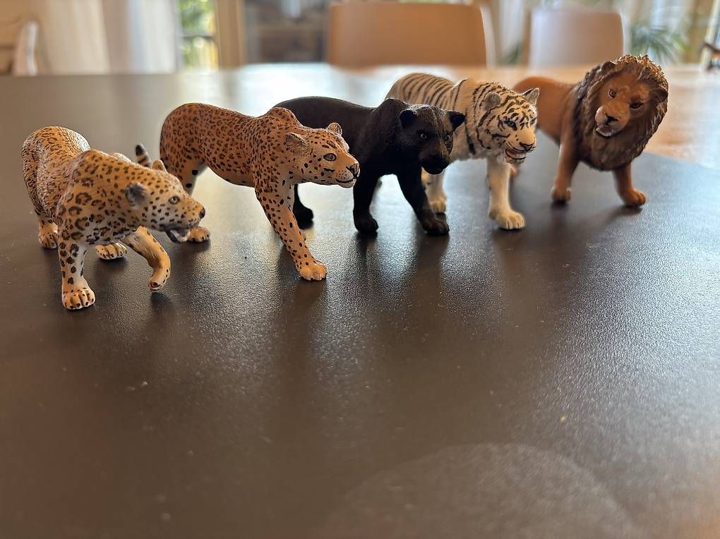 Jouets: Schleich Raubkatzen  – D'occasion à Ersigen par daveni 1