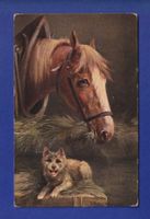 CHIEN et CHEVAL / HUND und PFERD