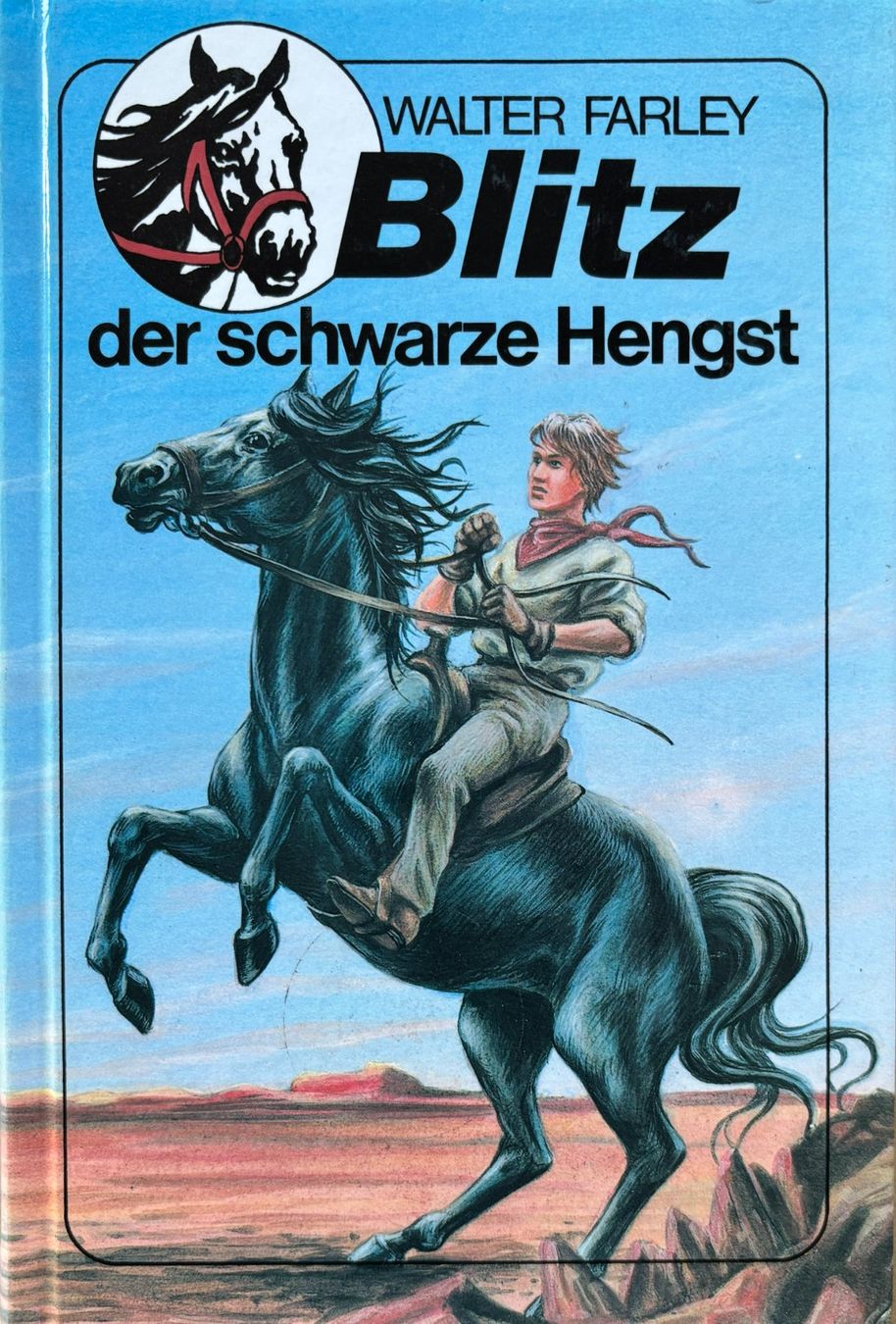 Libri: Blitz der schwarze Hengst – Nuovo (secondo la descrizione) da Sarnen venduto da Livres