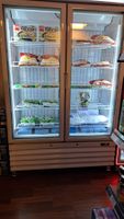 Tiefkühlschrank (ohne Inhalt)