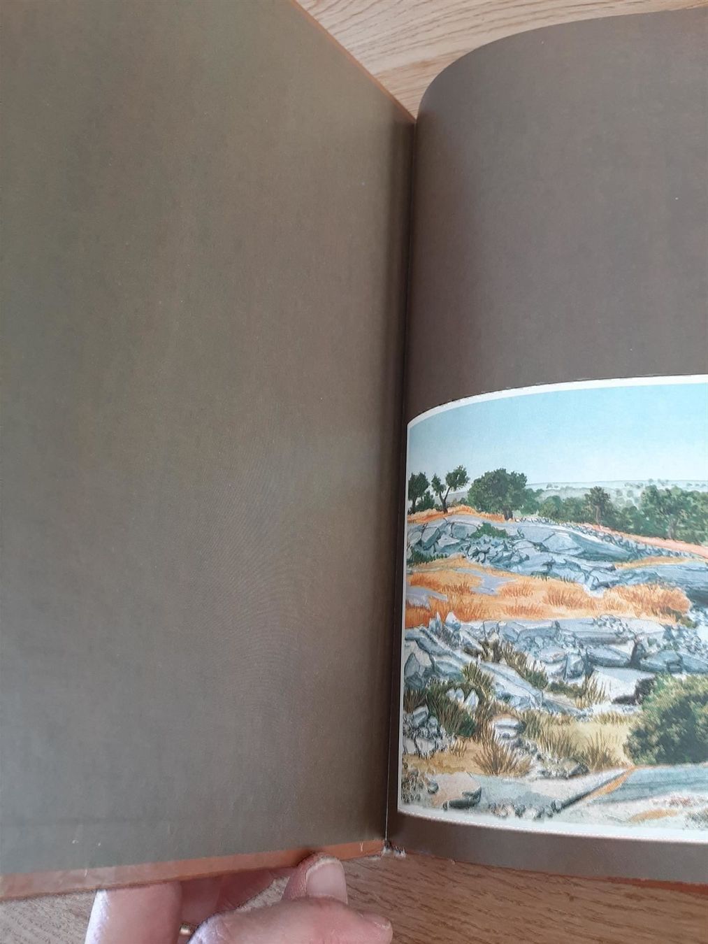 Comics: Soledad La cible Edition Originale 1983 – Gebraucht aus Affoltern am Albis von Sabinezc 3