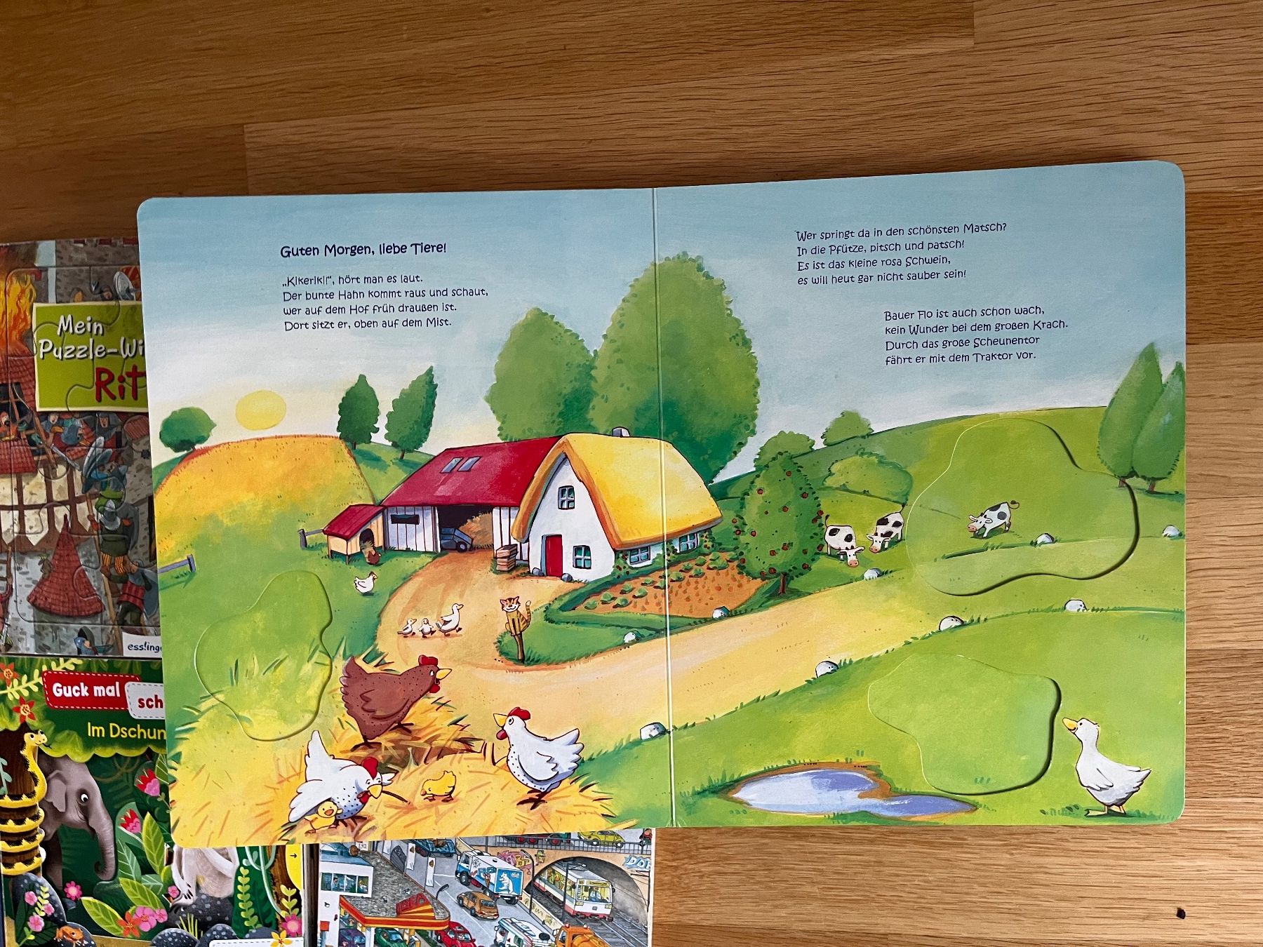 Libri: Diverse Kinderbücher Sammlung - Zustand Gut! – Usato da Baden venduto da eklym 7
