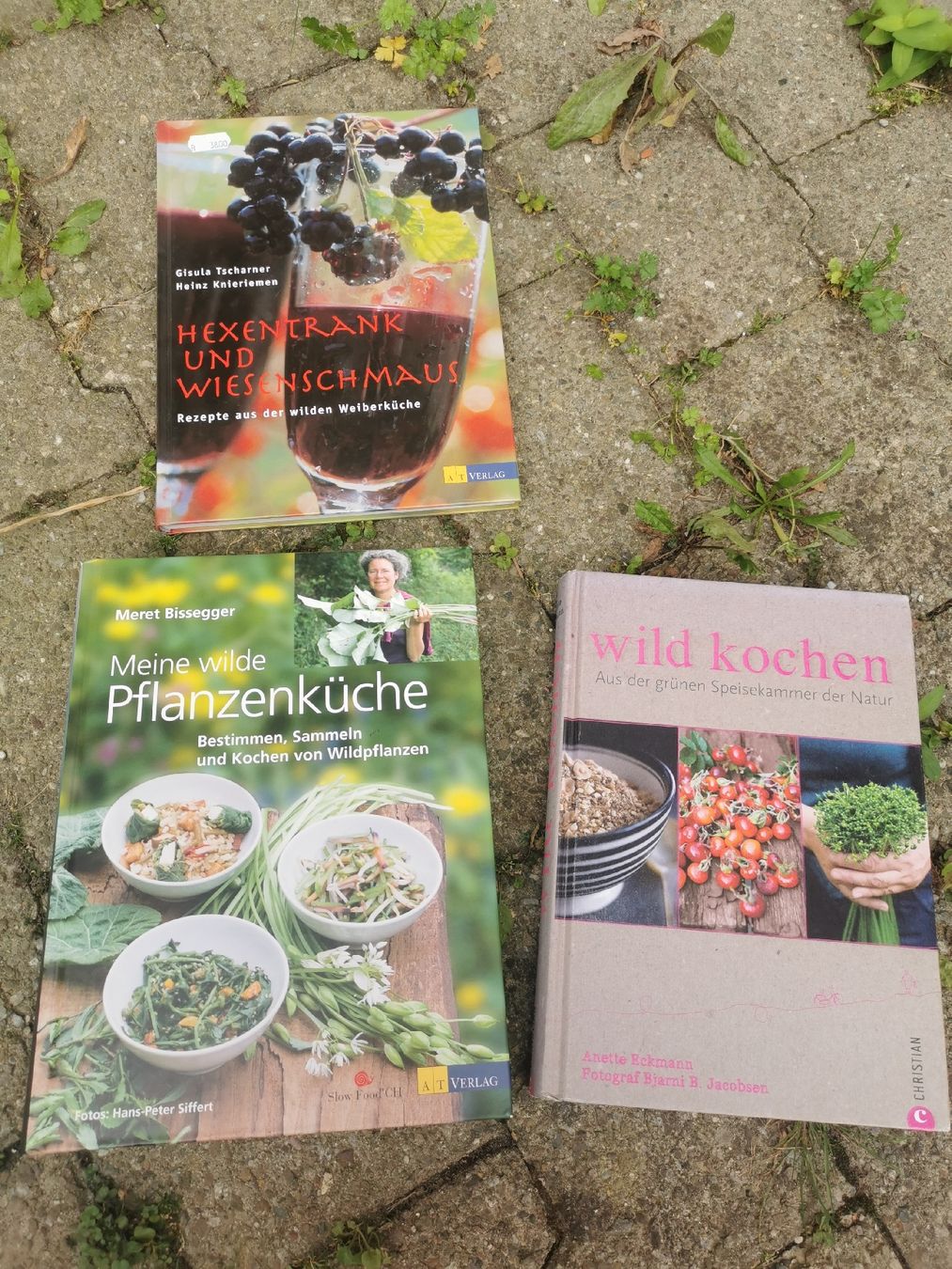 Libri: Wildpflanzenküche Set 3 Bücher – Usato da Neuenhof venduto da Erinnyen