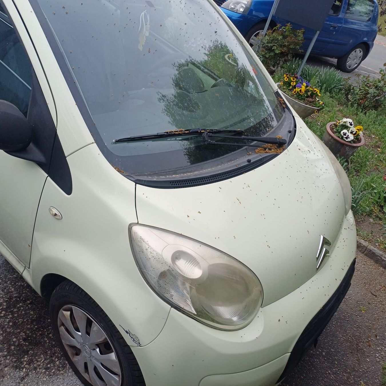 Citroën Autos: Citroen C1, 2010, super mécanique – Gebraucht aus Renens VD von sba_5ssb 4