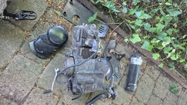 Pitbike Motor 125ccm 4-Takt – Ideal für Bastler / Ersatzteil