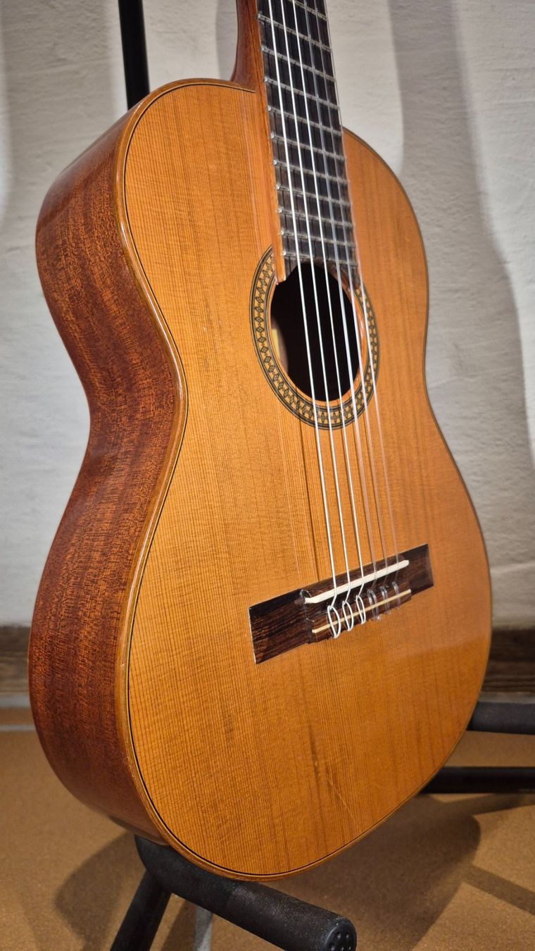 Aria Strumenti musicali: Kinder Gitarre Pepe PS-48 – Usato da Winterthur venduto da NorrSydGuitars 5