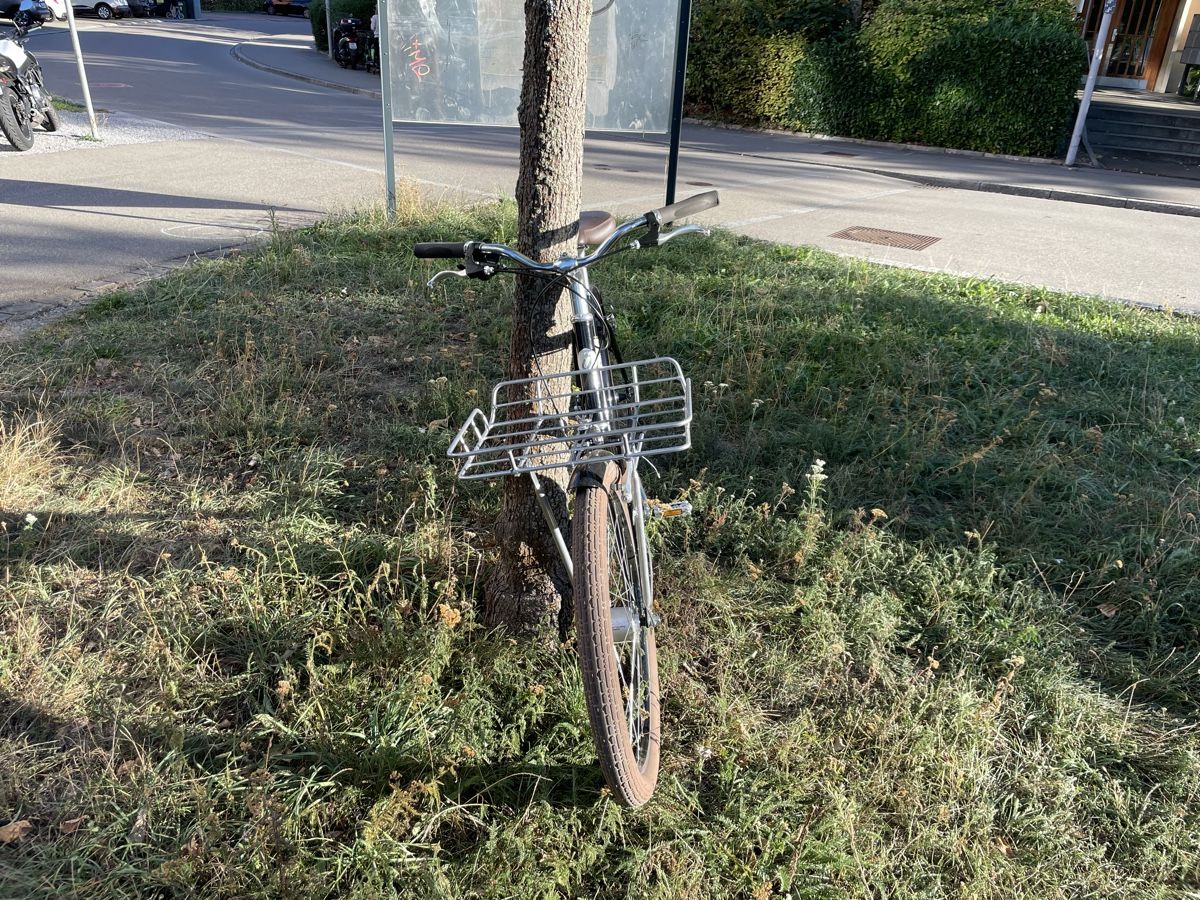 Biciclette: Fahrrad Benno – Usato da Zürich venduto da nik_927q 2