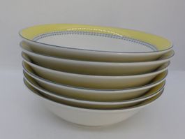Lot de 6 bols à salade ou céréales Royal Doulton bluberry