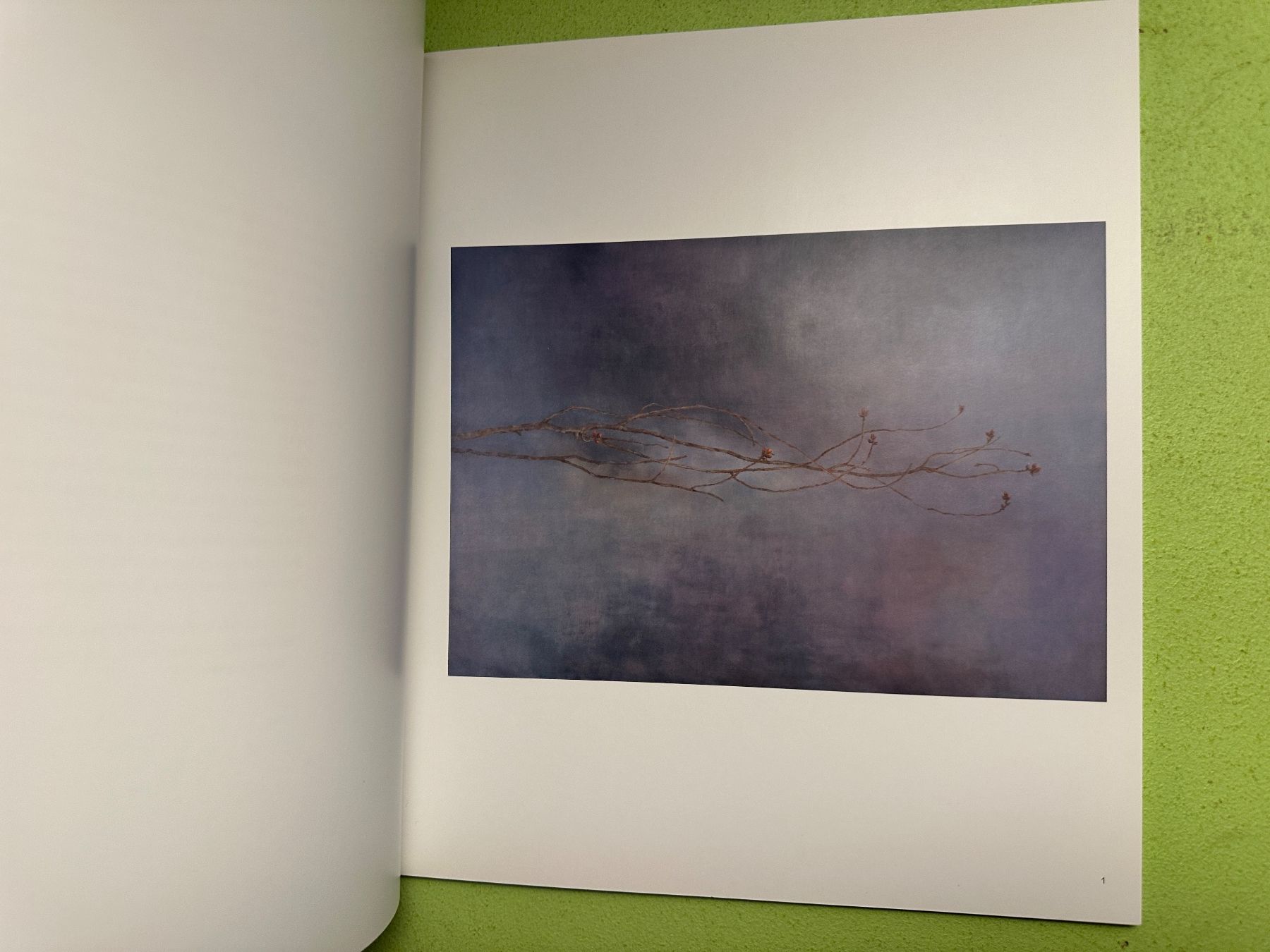 Libri: Angela Lyn: blossom blossom. – Usato da Zürich venduto da allp 2