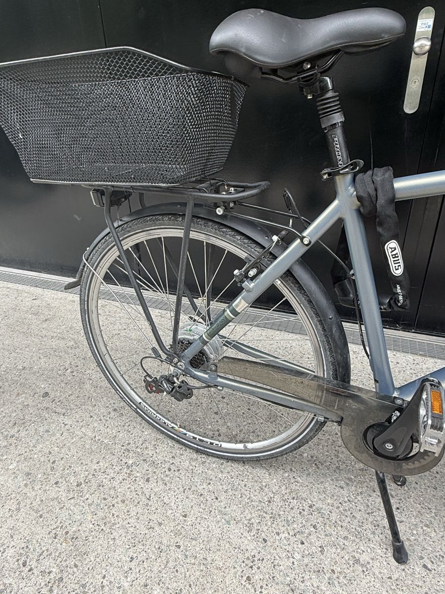 Zenith Bikes Biciclette: Zenith Electric Bike - requires fixing – Usato da Zürich venduto da ironmanx 1