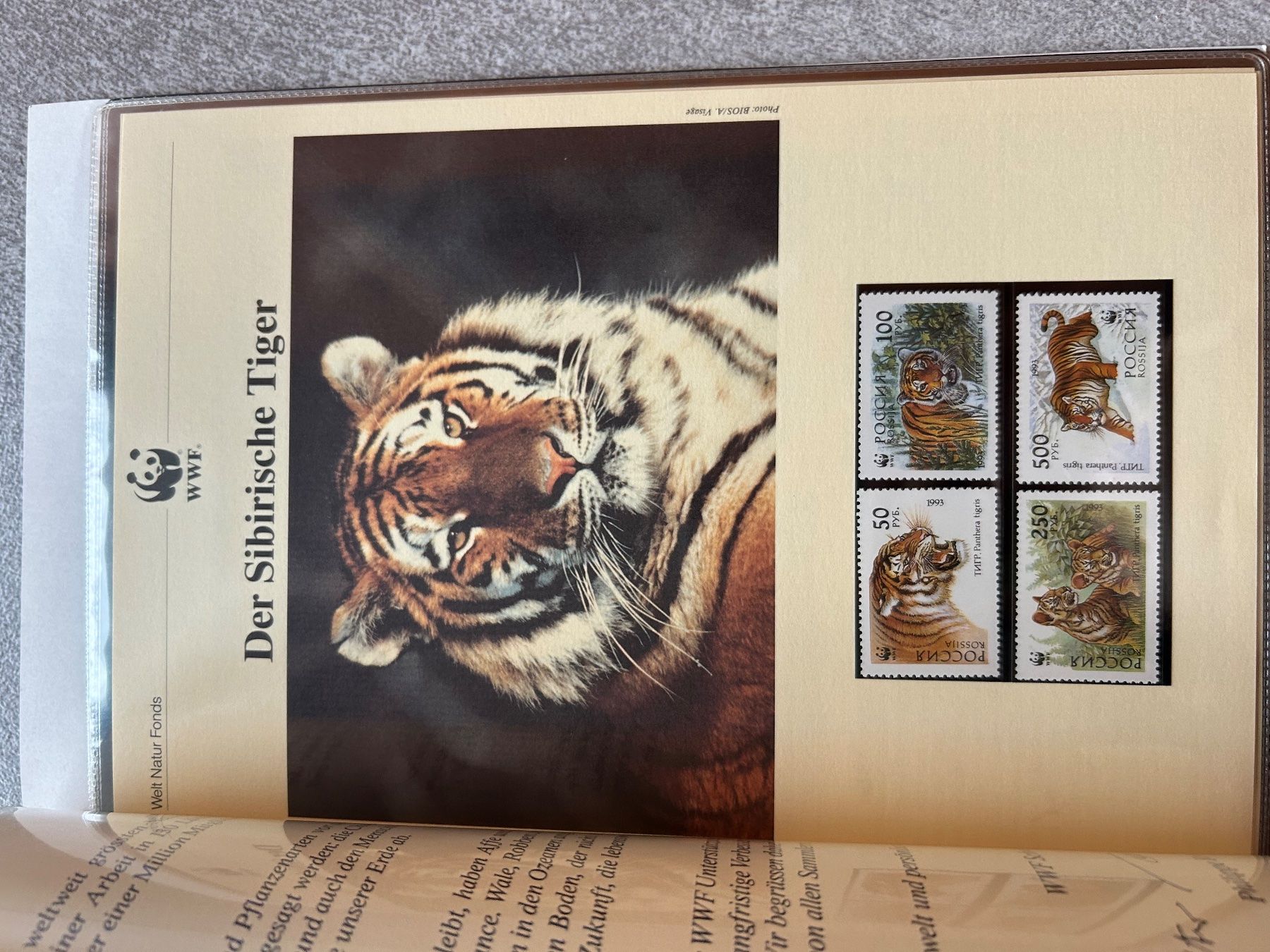 Tutti i francobolli: Dossier de timbres de tigre WWF 1993 – Nuovo (secondo la descrizione) da Arbedo venduto da nadia1973 2