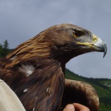 Profile image of Eagleseye17