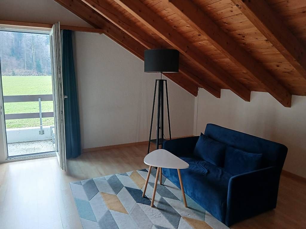 Divani: 2er Sofa, ausklappbar zum Bett – Usato da Freienbach venduto da pid_t9bk